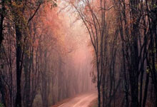 TK体育：打不赢林李的我，凭什么自称“大神”？.