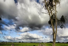 TK体育：[澳网]王雅繁挺进澳网女单第二轮.