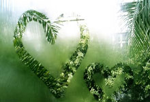 TK体育：为你们骄傲！三面五星红旗一起升起人民日报微博.